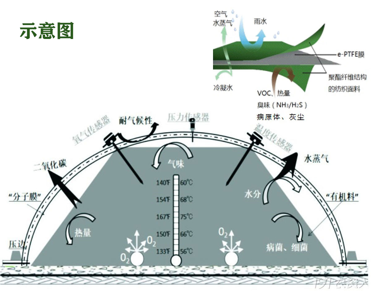 利来国际w66(中国区)最老牌官方网站